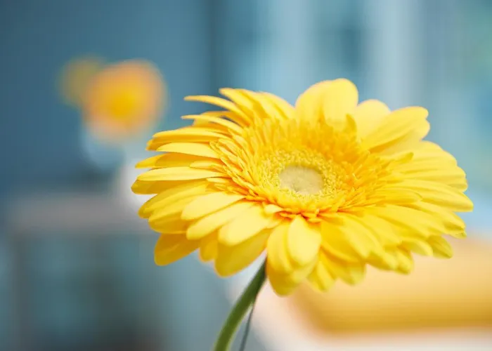 Ghotel Hotel & Living Muenchen-Nymphenburg